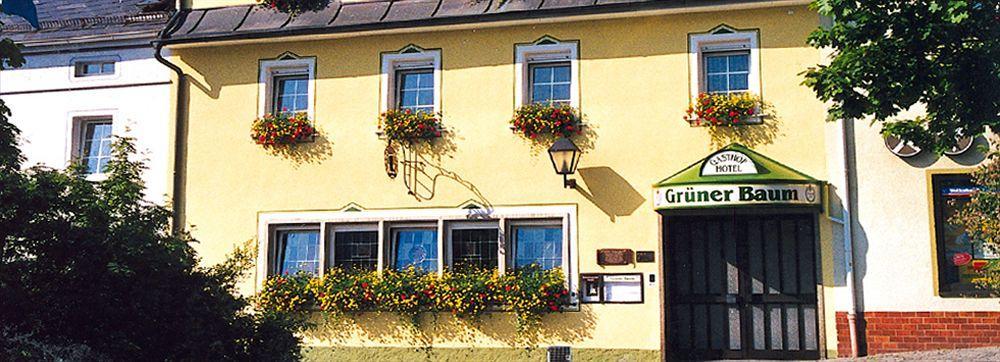 Hotel Gruener Baum Naila Экстерьер фото