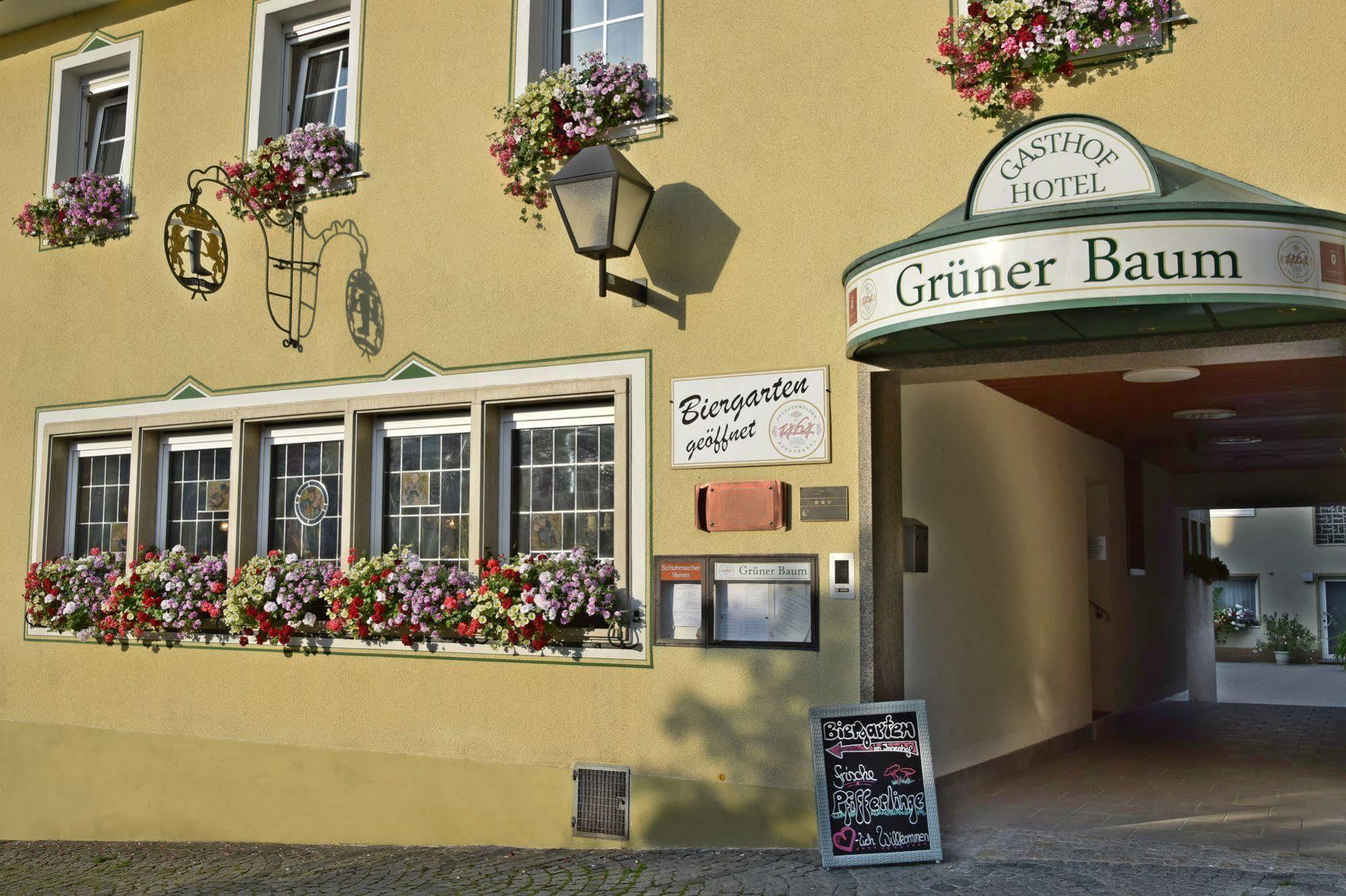 Hotel Gruener Baum Naila Экстерьер фото