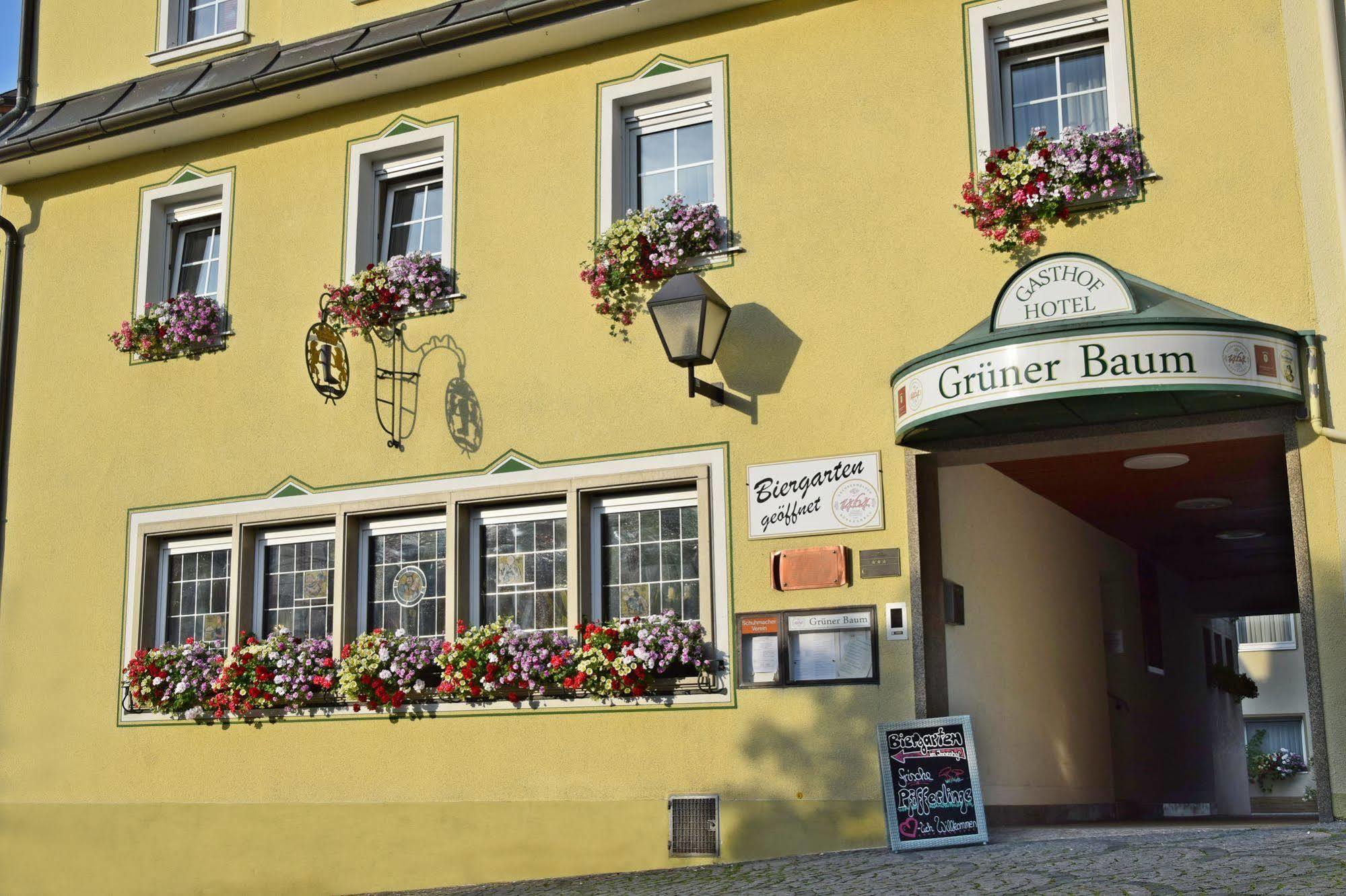 Hotel Gruener Baum Naila Экстерьер фото